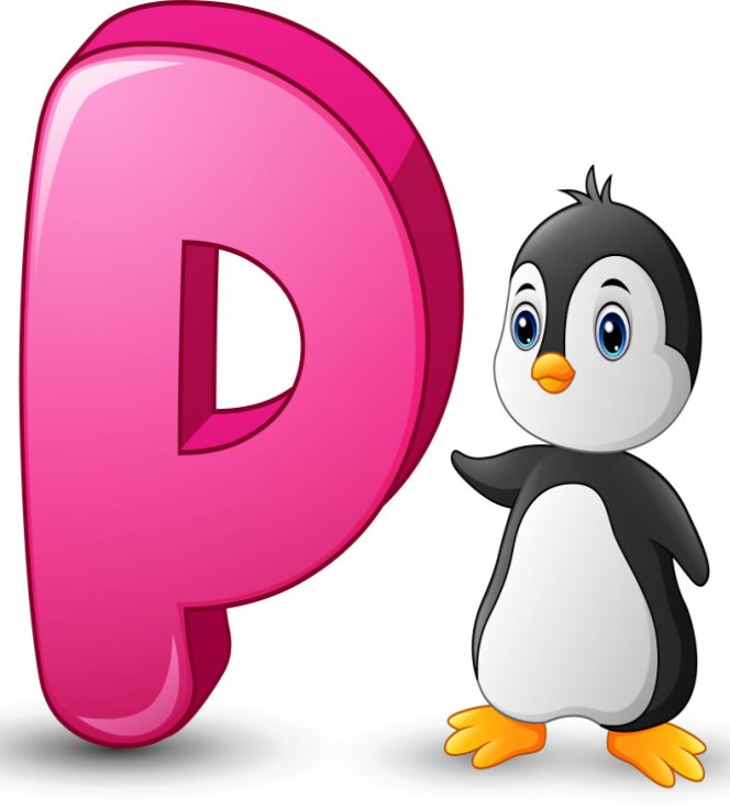 Letter p is for penguin cartoon alphabet Vector Image